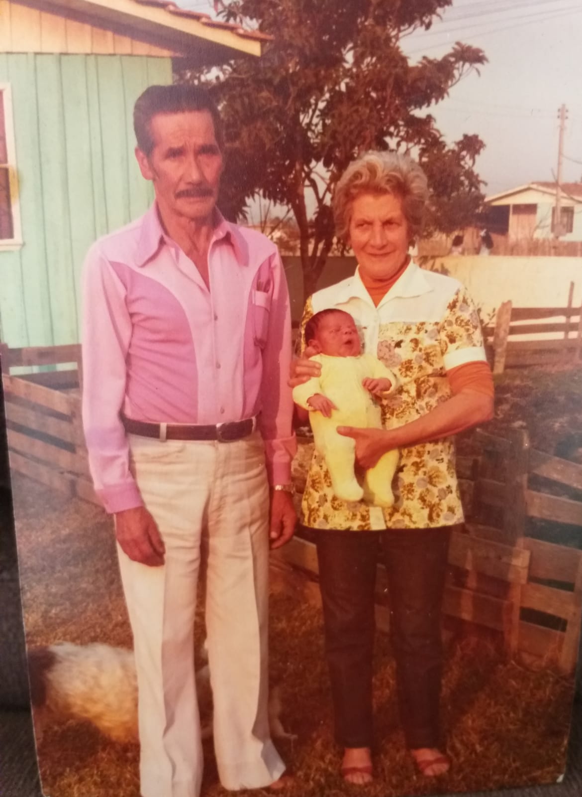 Memória de Salustiano Alves